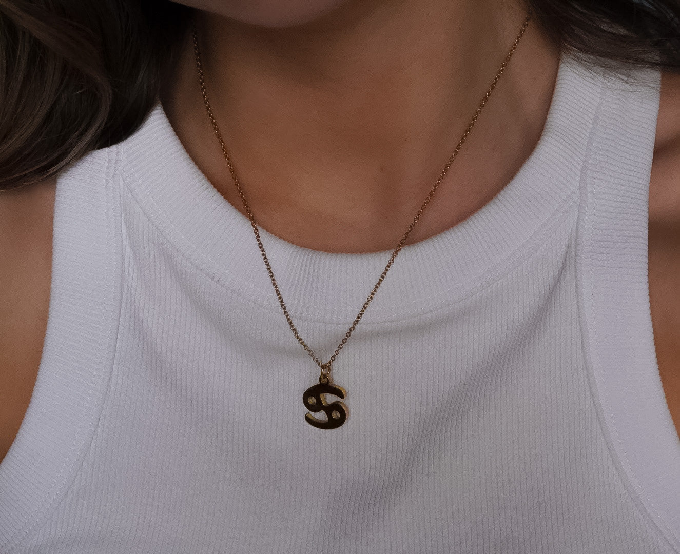 Zodiac Necklace